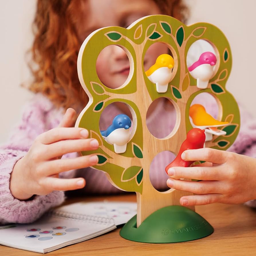 Smart Games - 5 Little Birds 适合5岁+