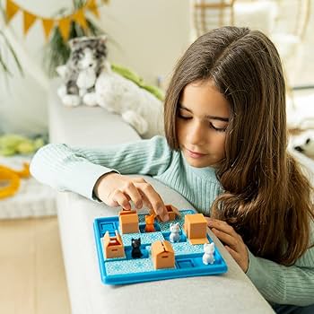 Smart Games - Cat & Boxes 适合7岁+