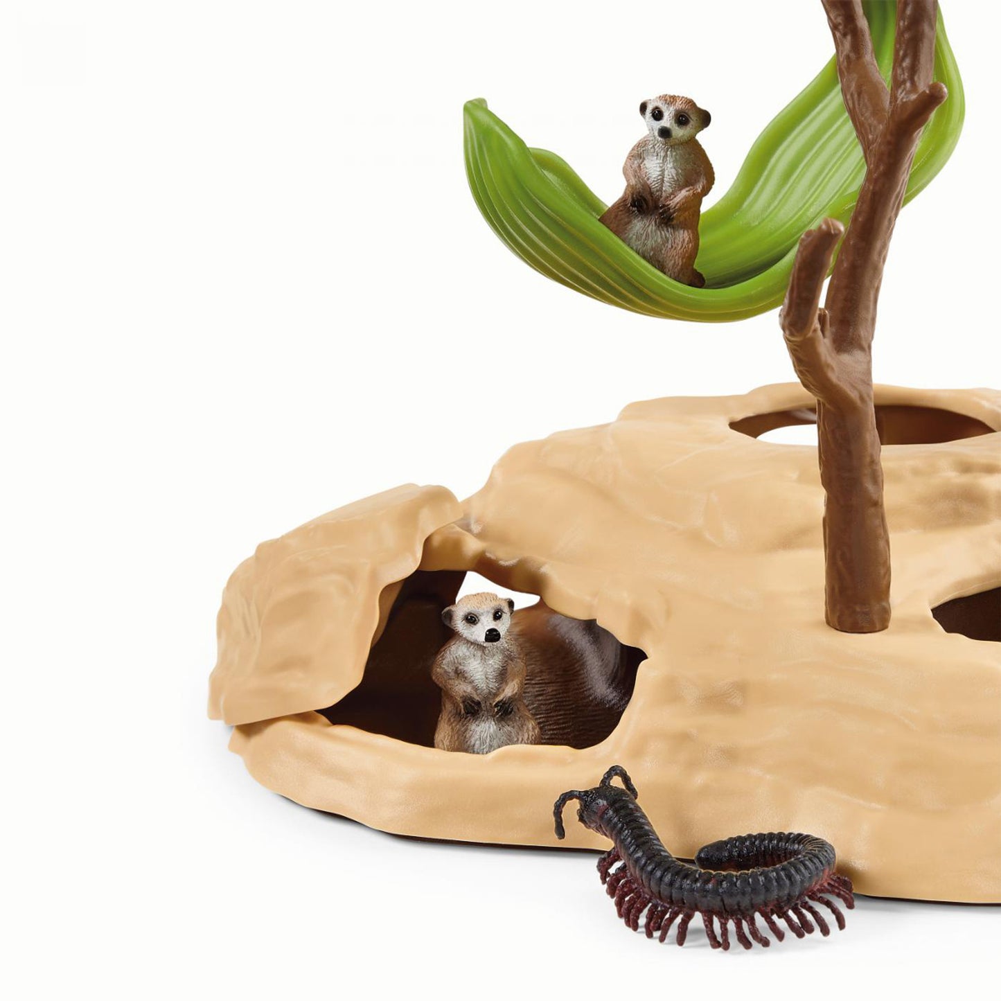 思乐 - Meerkat Hangout