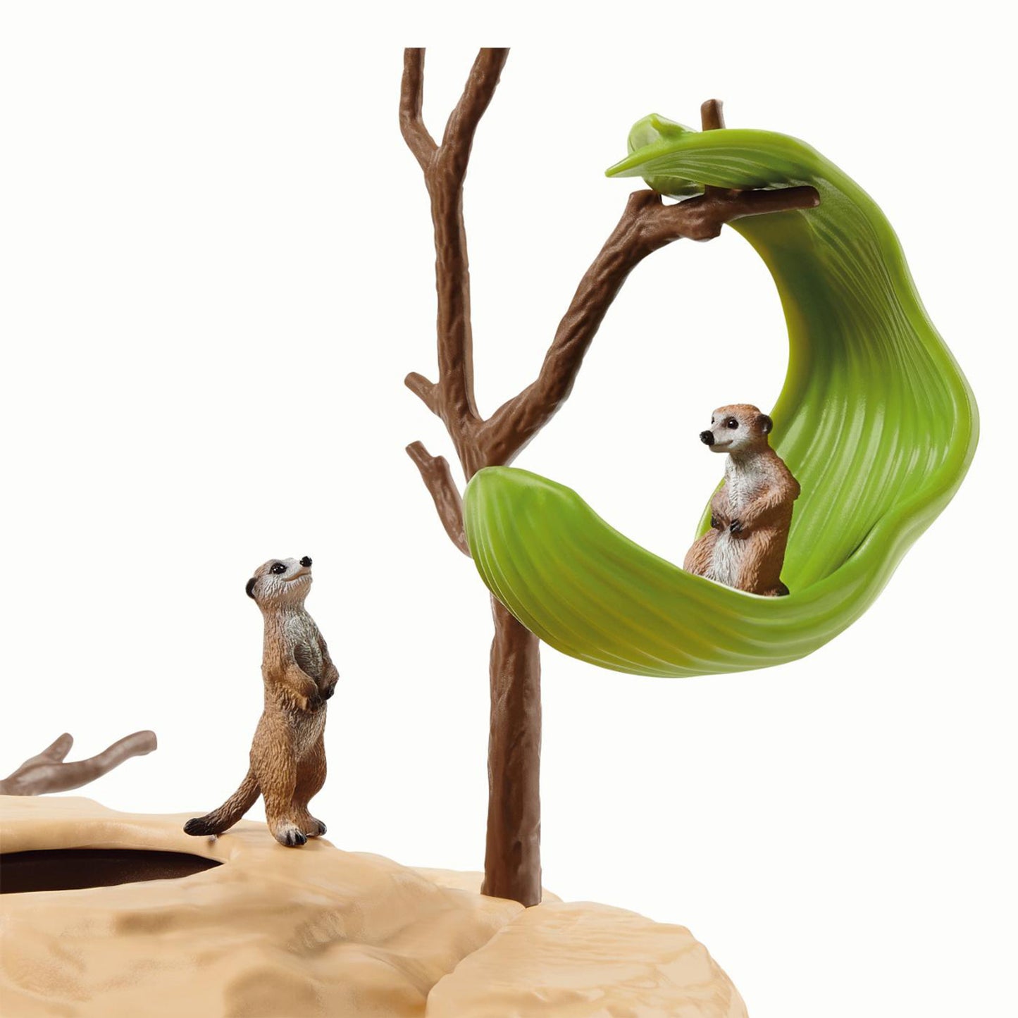 思乐 - Meerkat Hangout