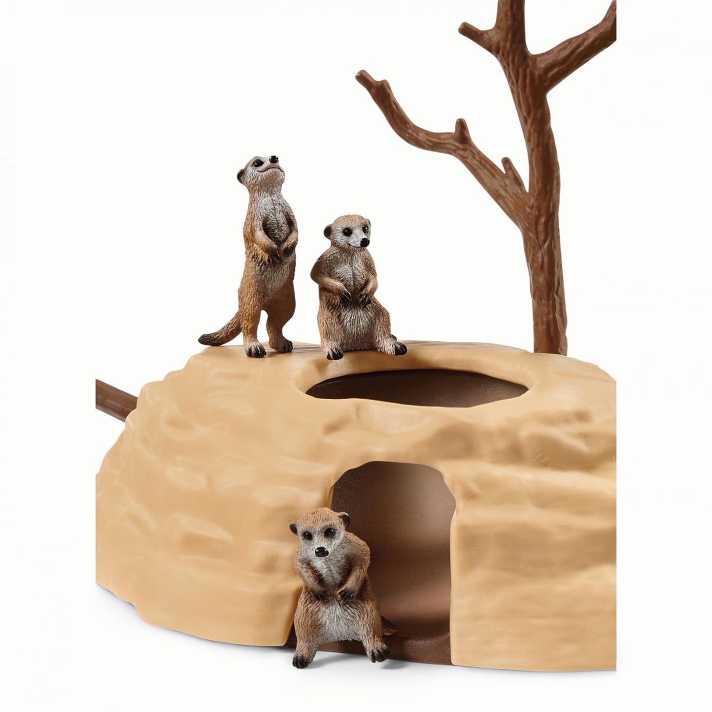 思乐 - Meerkat Hangout