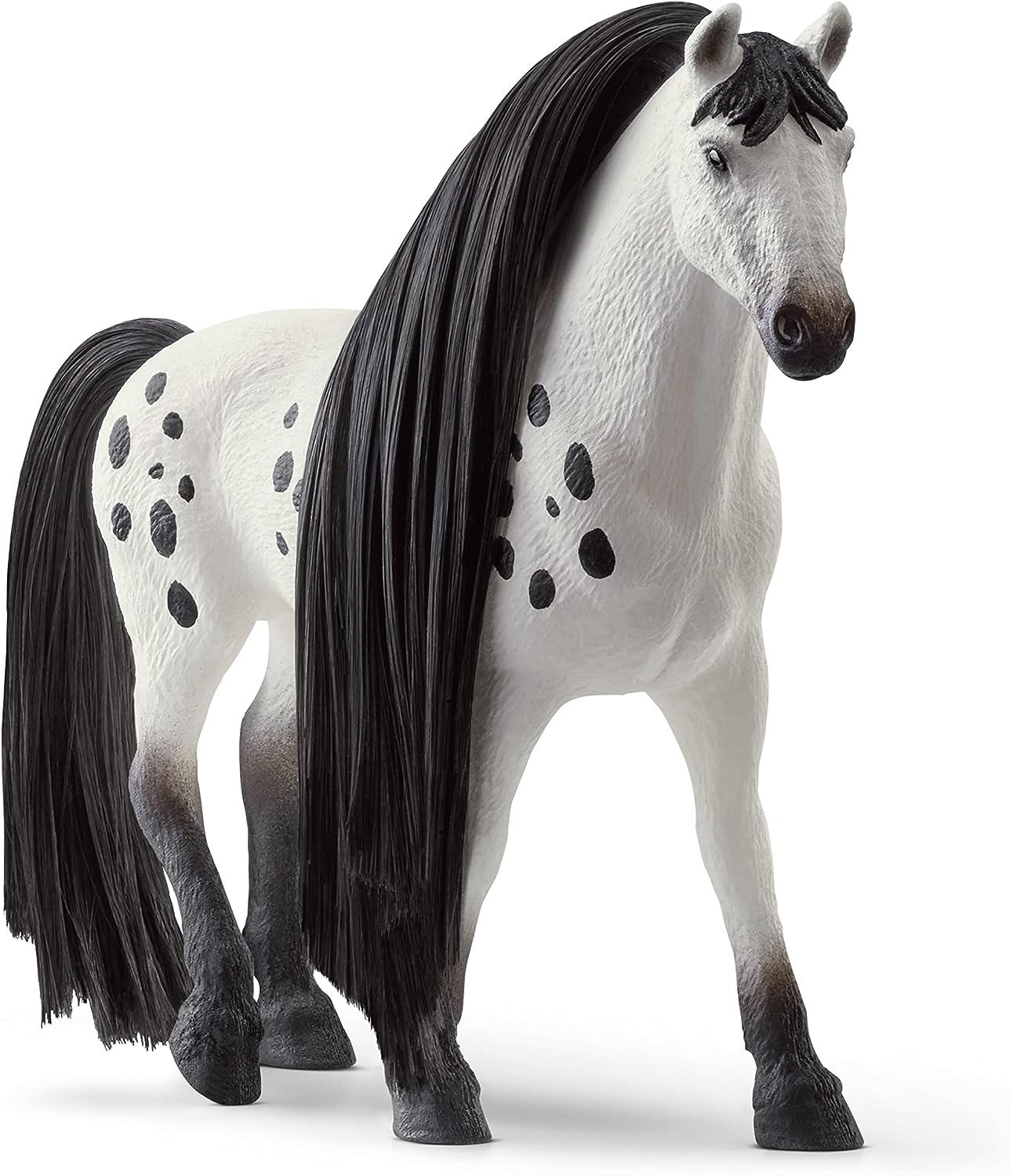 思乐 - Beauty Horse Knabstrupper Stallion