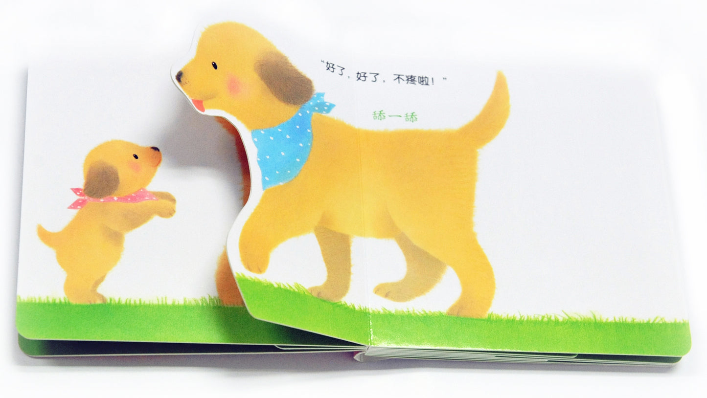 和小鸡球球一起玩