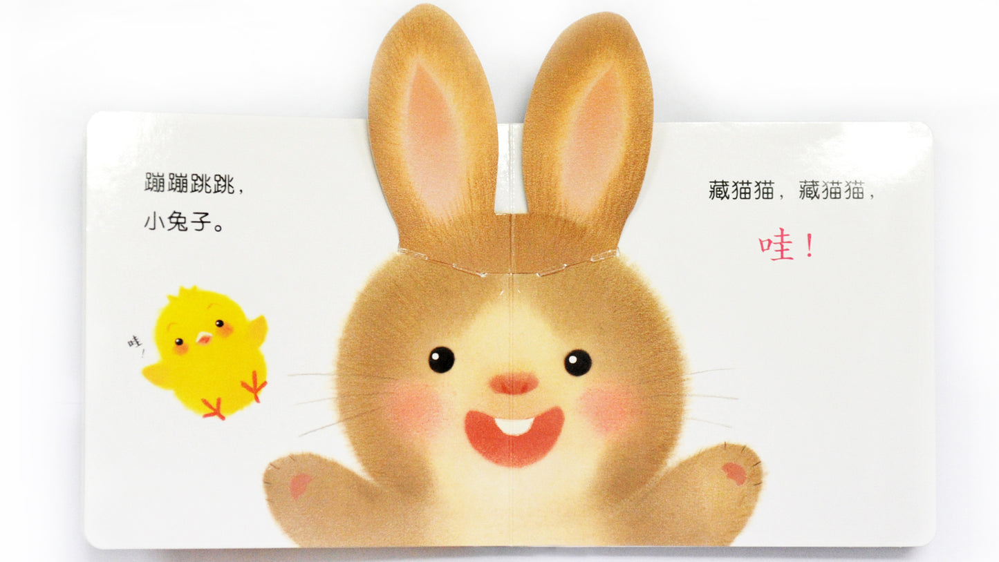 和小鸡球球一起玩