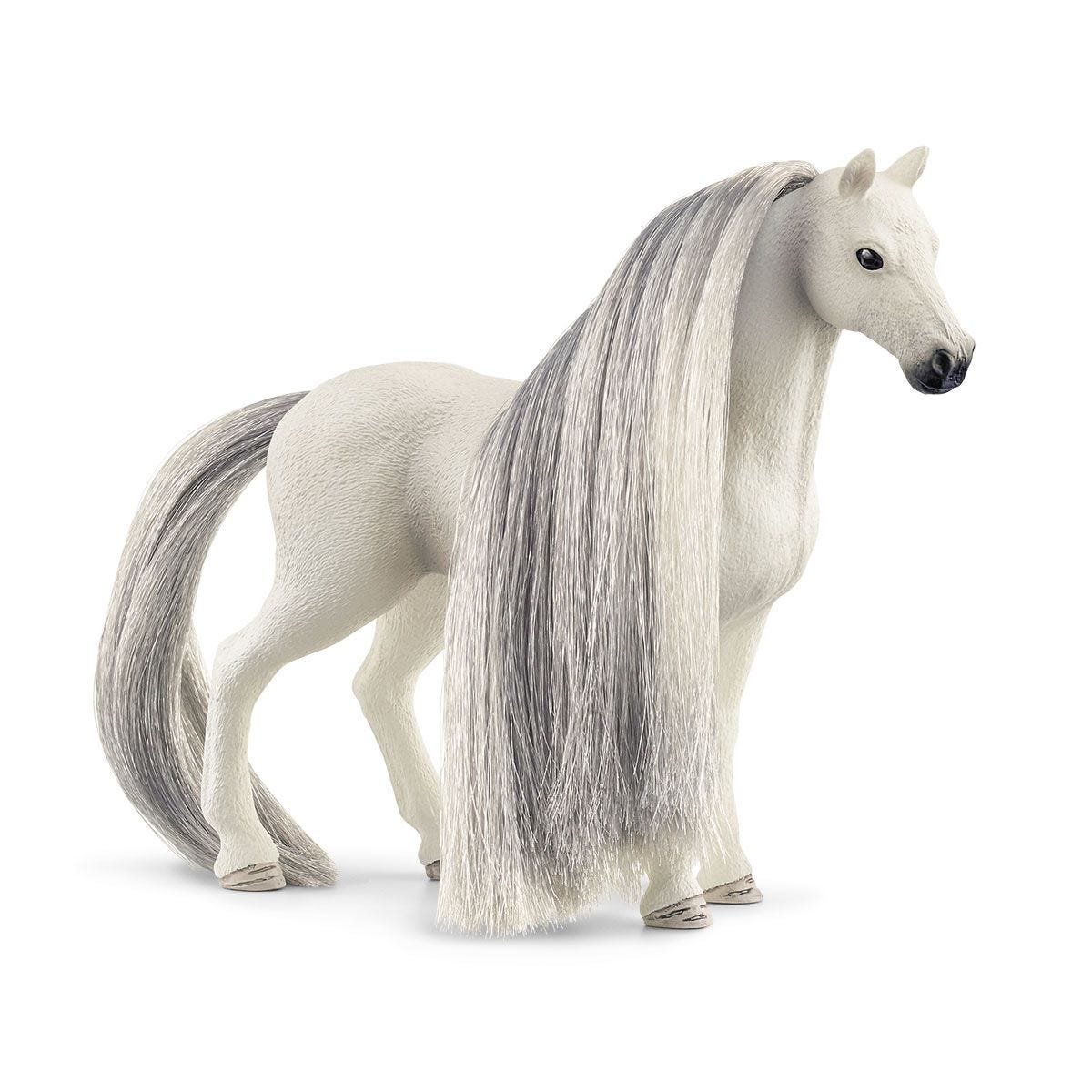 思乐 - Beauty Horse Quarter Horse Mare