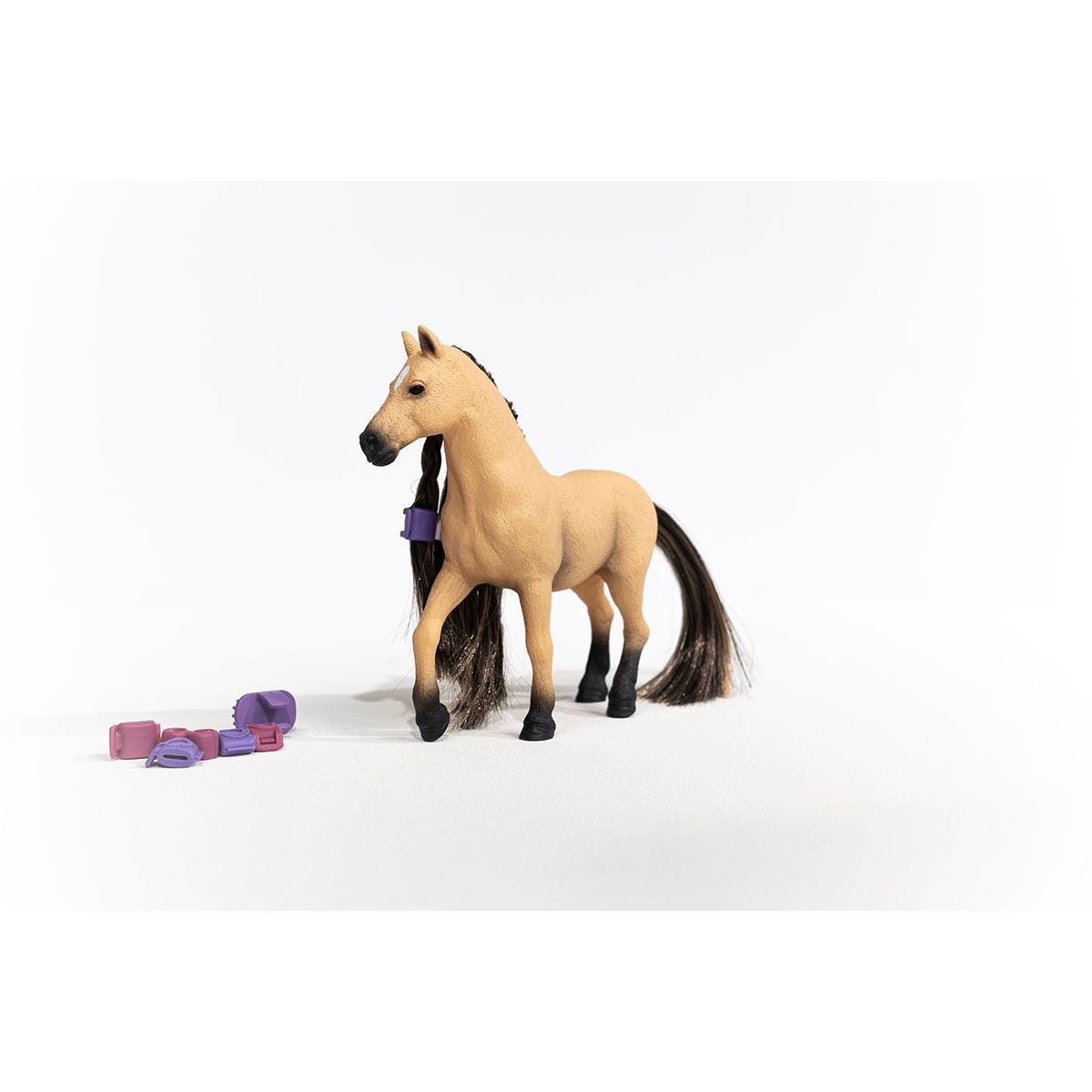 思乐 - Beauty Horse Andalusian Mare