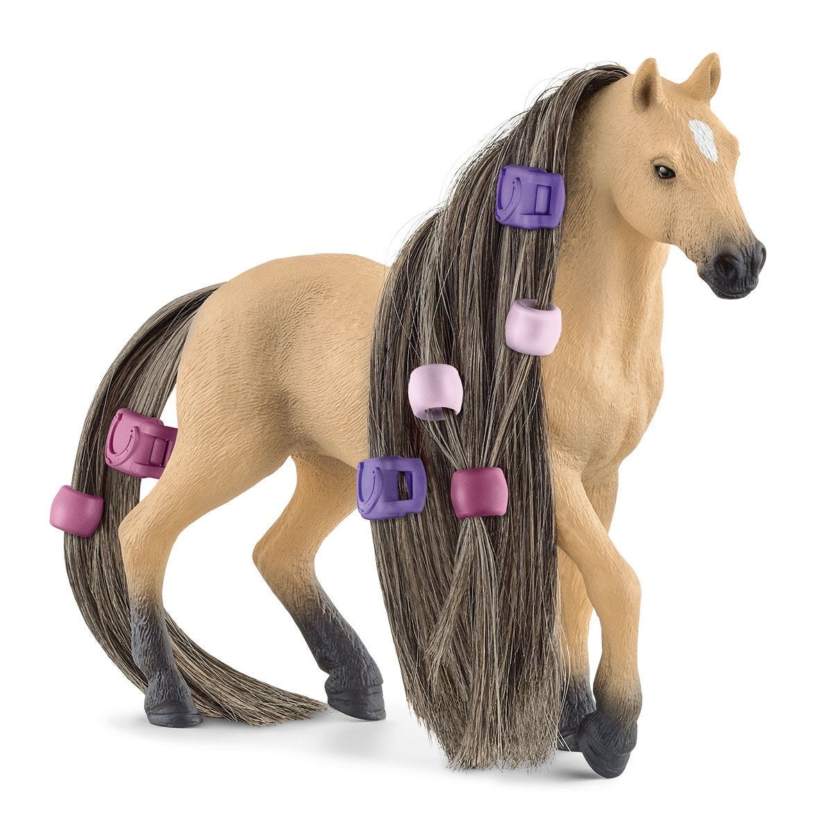 思乐 - Beauty Horse Andalusian Mare