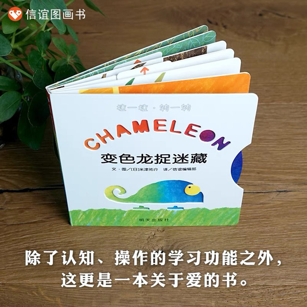 变色龙捉迷藏