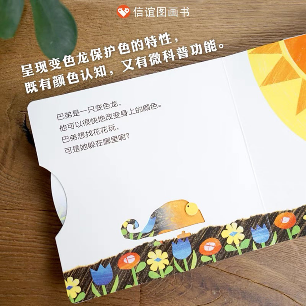 变色龙捉迷藏