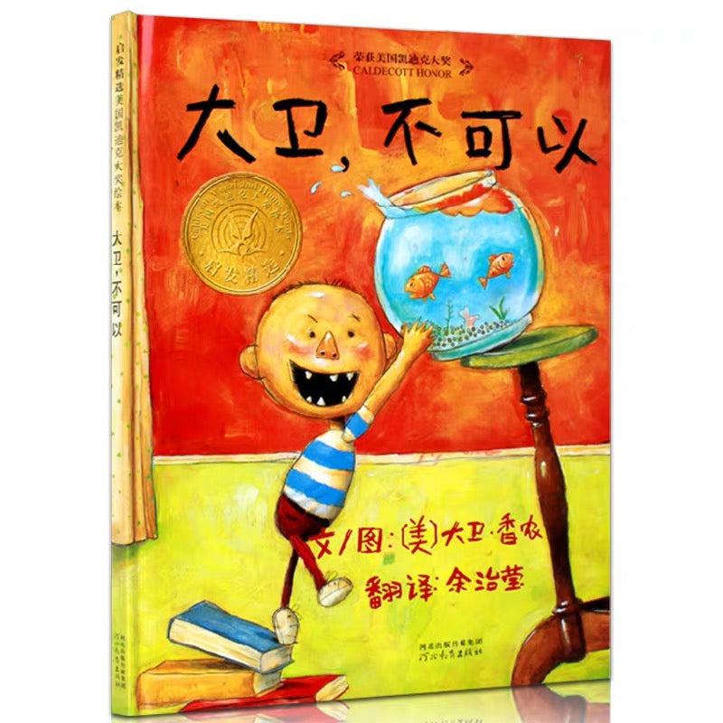 大卫,不可以