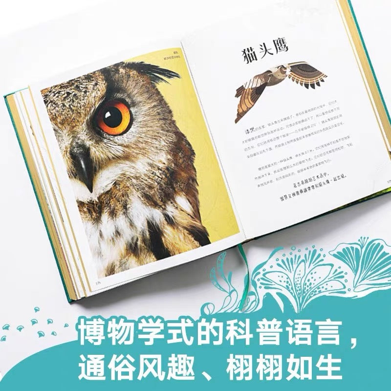 DK奇妙动物大百科