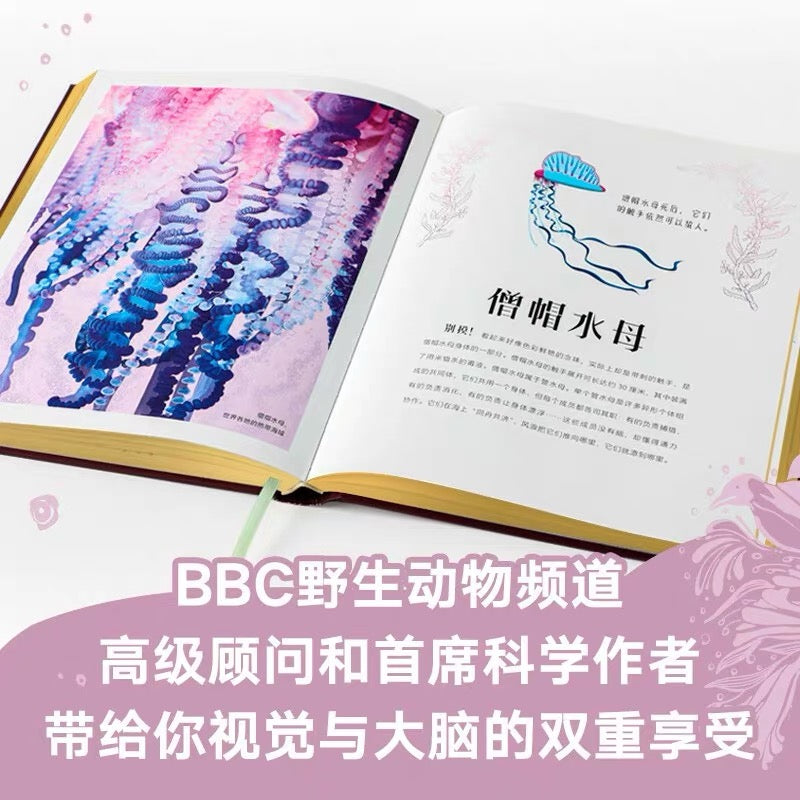 DK神秘大自然奇观