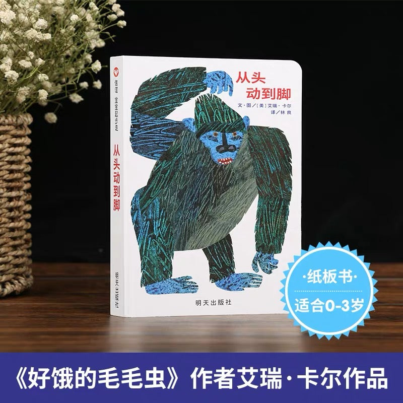 从头动到脚