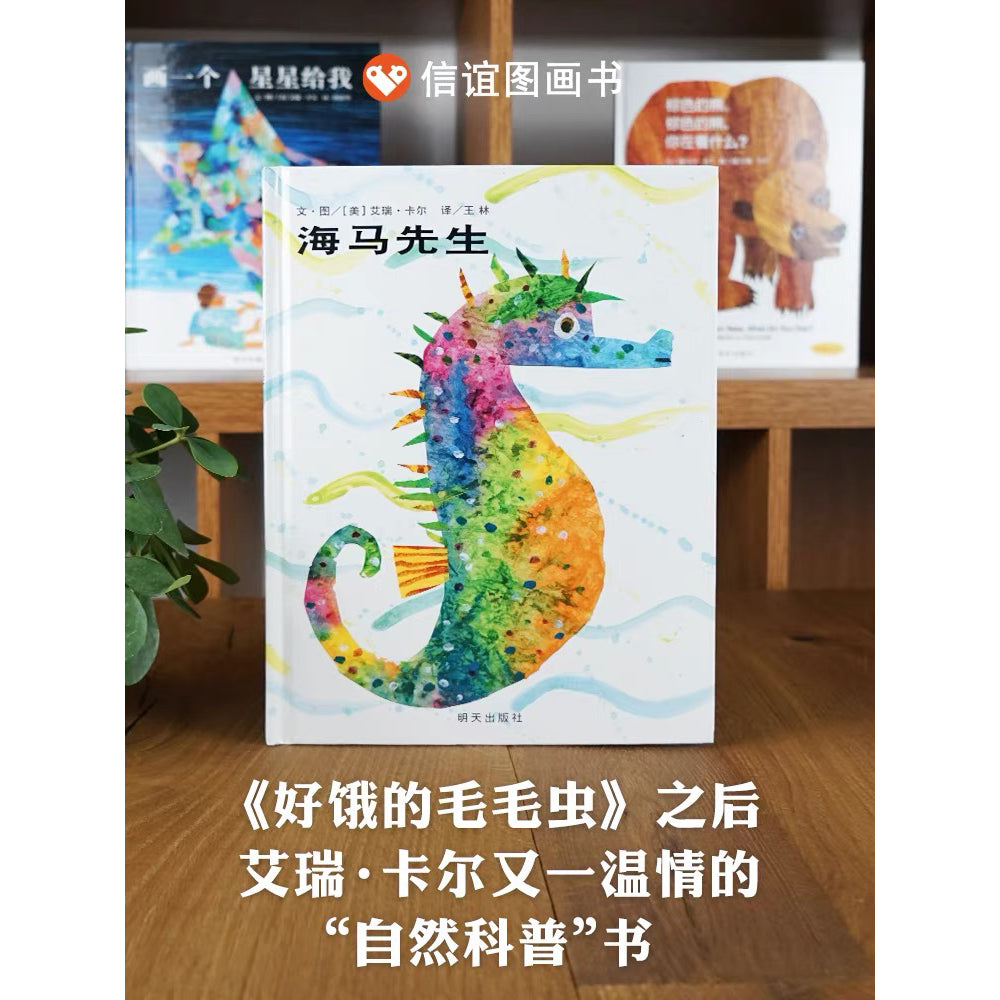 海马先生