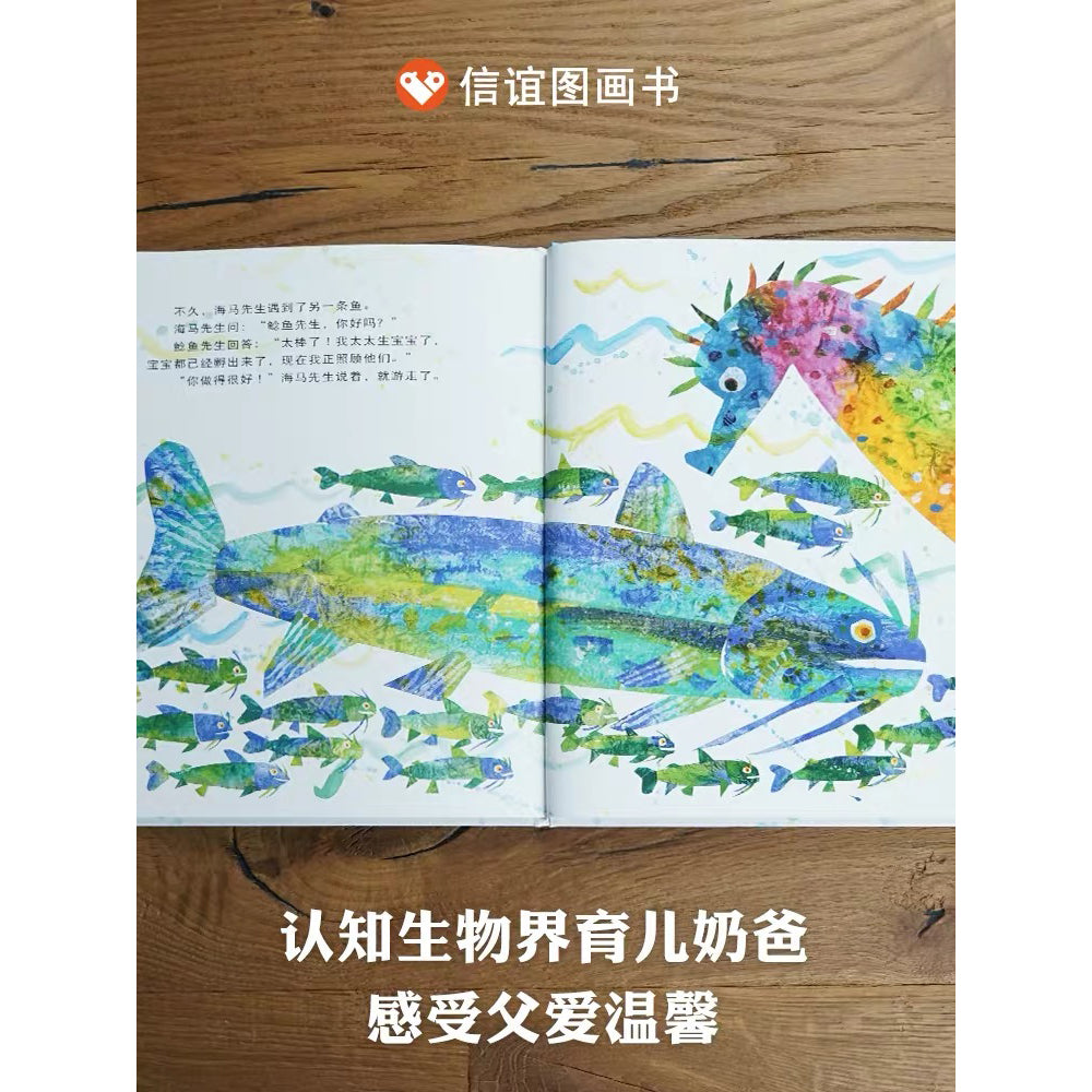 海马先生