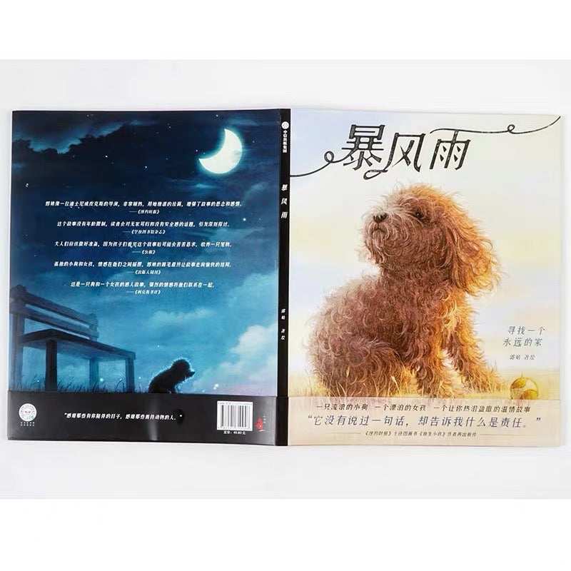 暴风雨