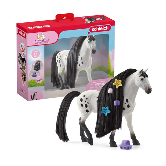 思乐 - Beauty Horse Knabstrupper Stallion