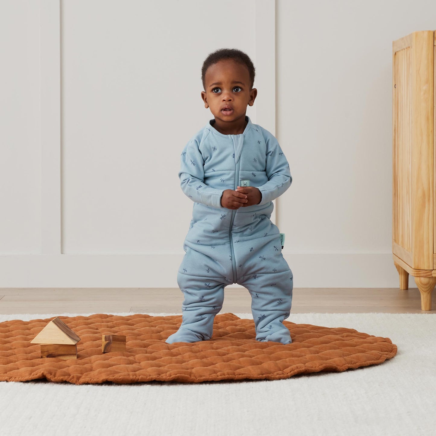 ergoPouch -  Sleep Onesie 2.5 TOG Dragonflies