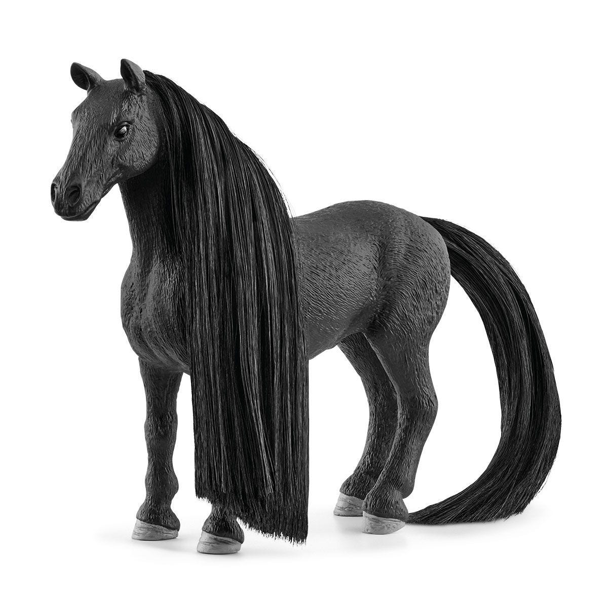 思乐 - Beauty Horse Criollo Definitivo Mare Save