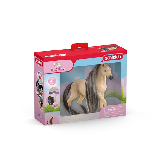 思乐 - Beauty Horse Andalusian Mare