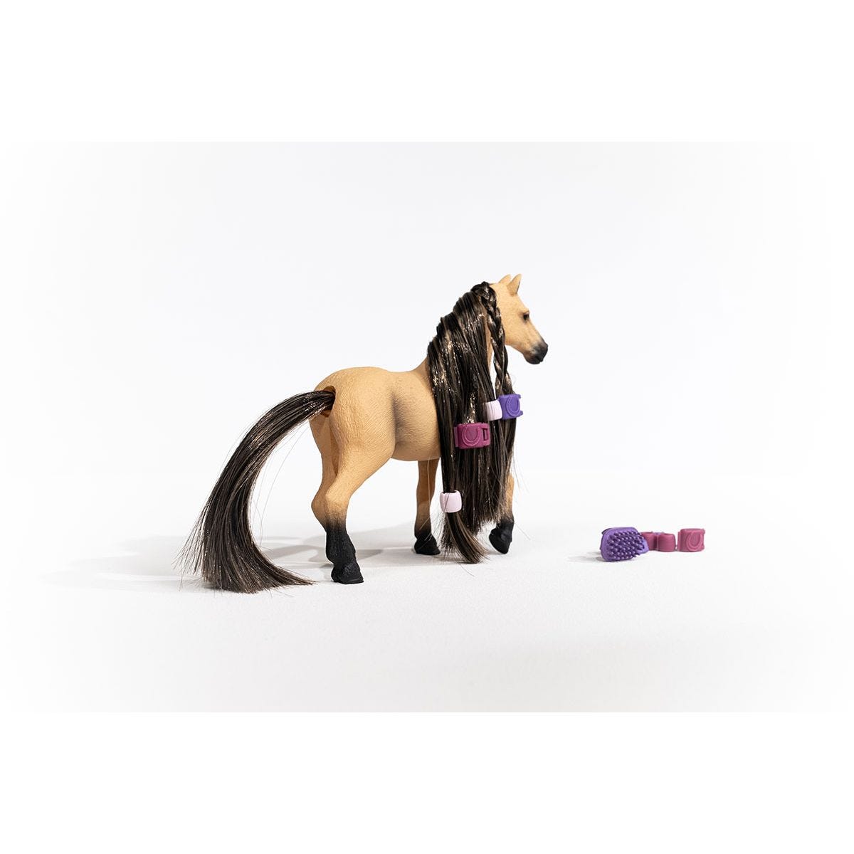 思乐 - Beauty Horse Andalusian Mare