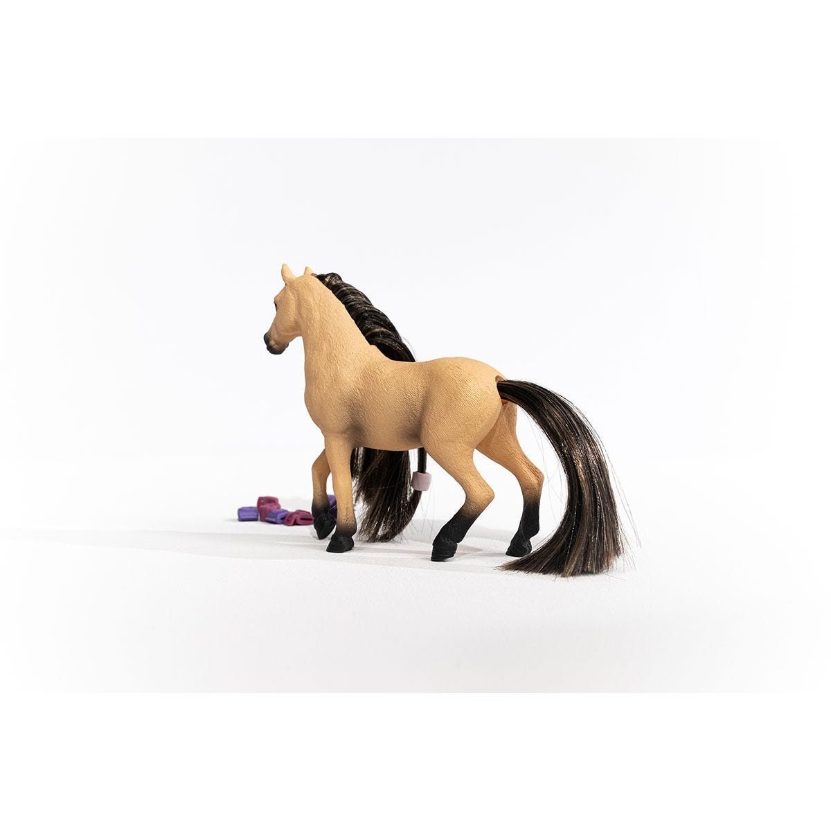 思乐 - Beauty Horse Andalusian Mare