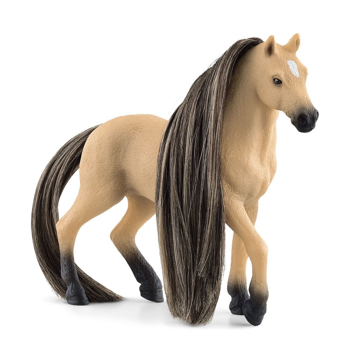 思乐 - Beauty Horse Andalusian Mare