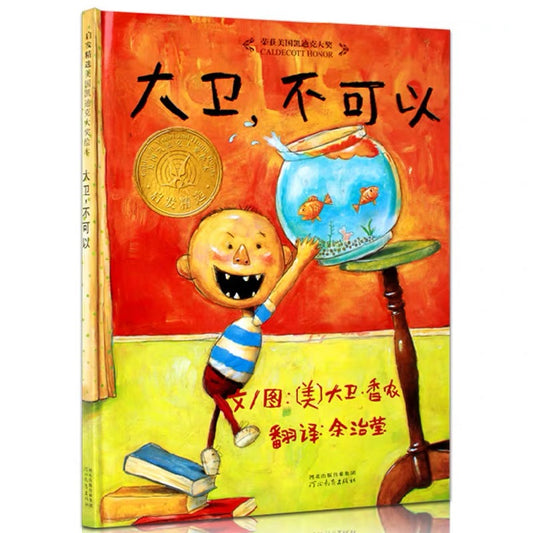 大卫，不可以