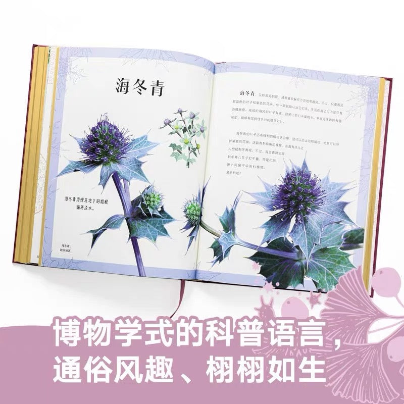 DK神秘大自然奇观