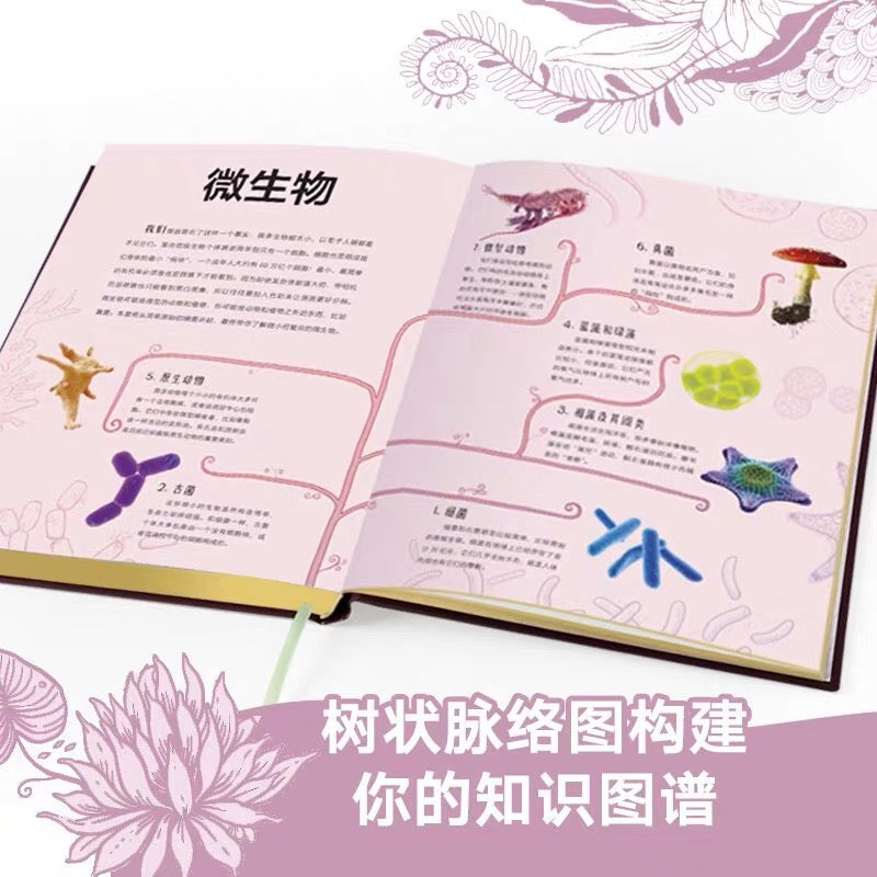 DK神秘大自然奇观