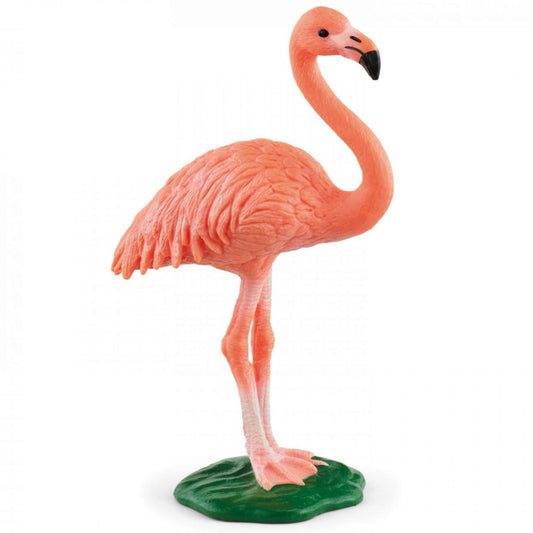 思乐 - Flamingo
