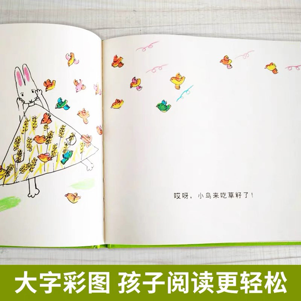 我的连衣裙