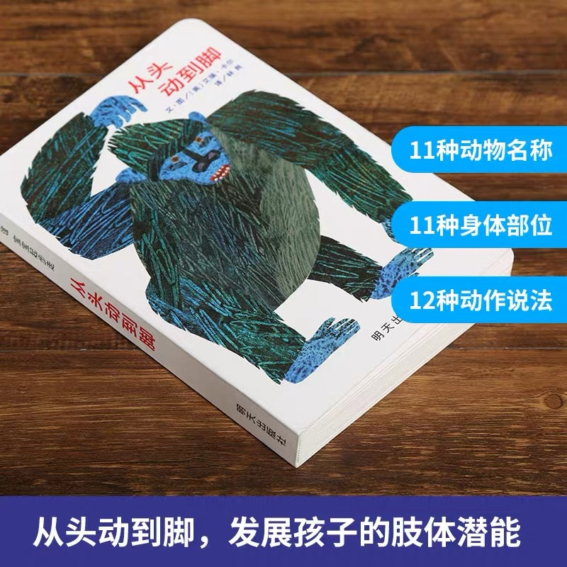 从头动到脚