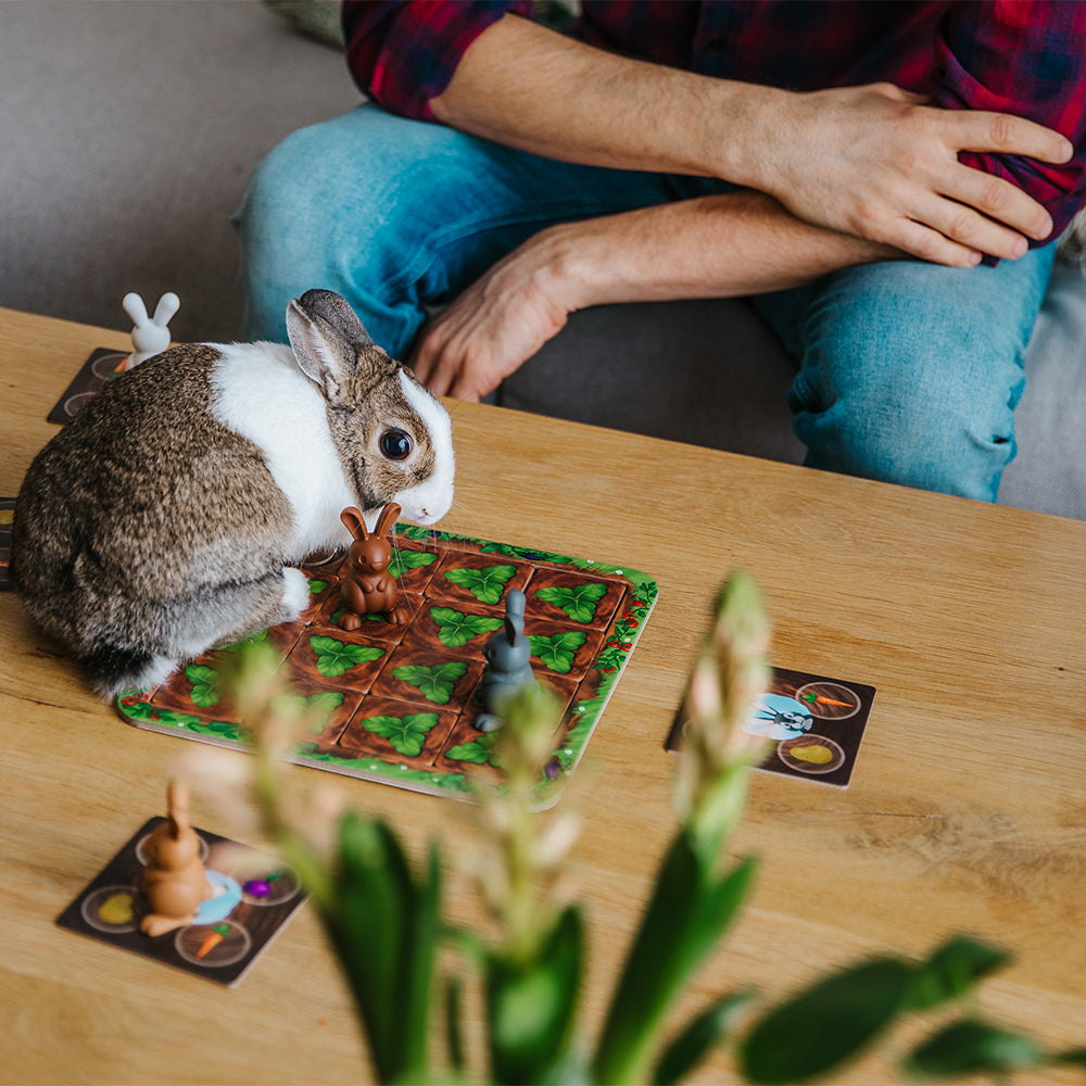 Smart Games - Grabbit  小兔抢食记 适合4岁+