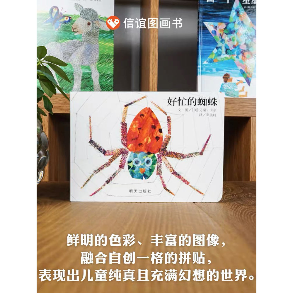 好忙的蜘蛛