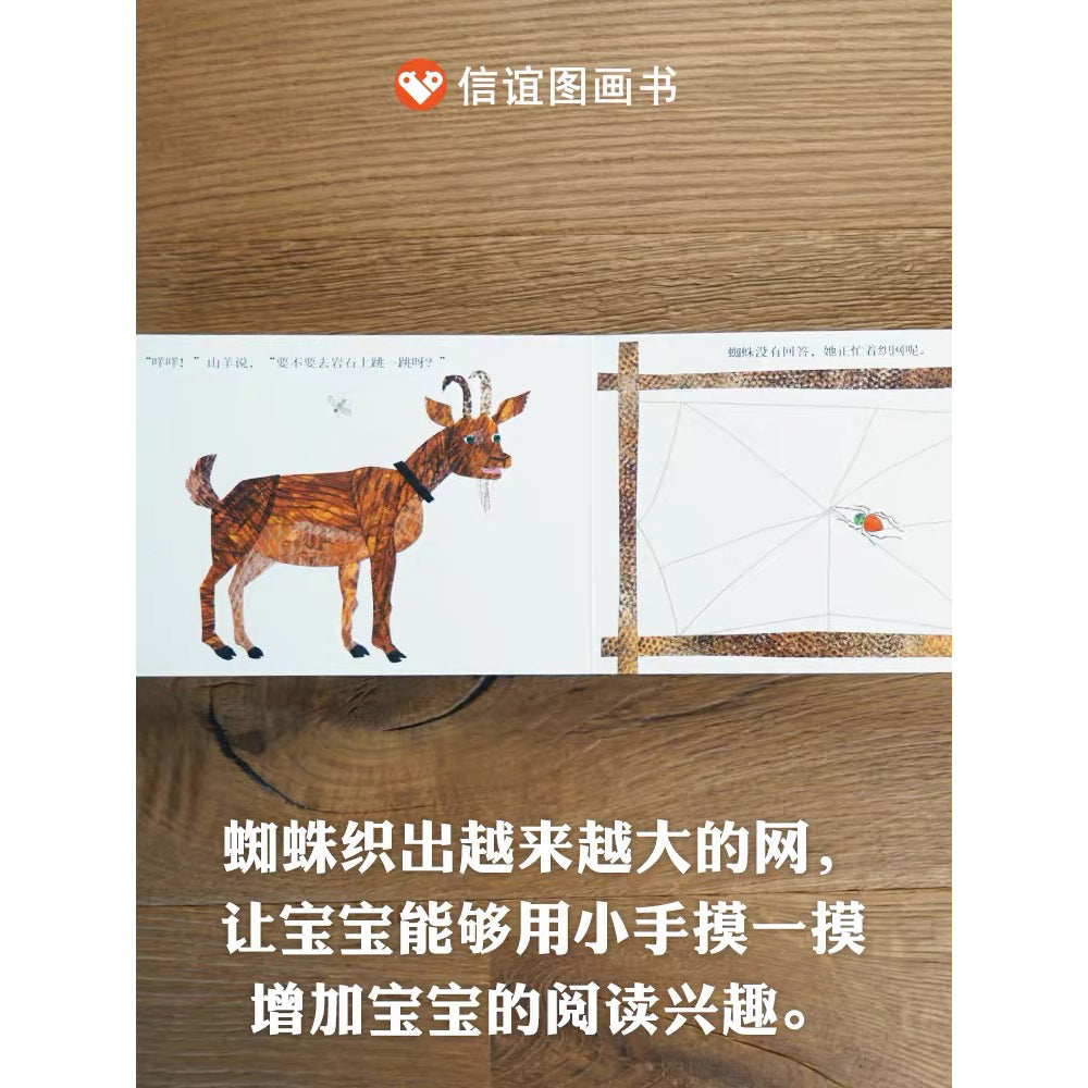 好忙的蜘蛛