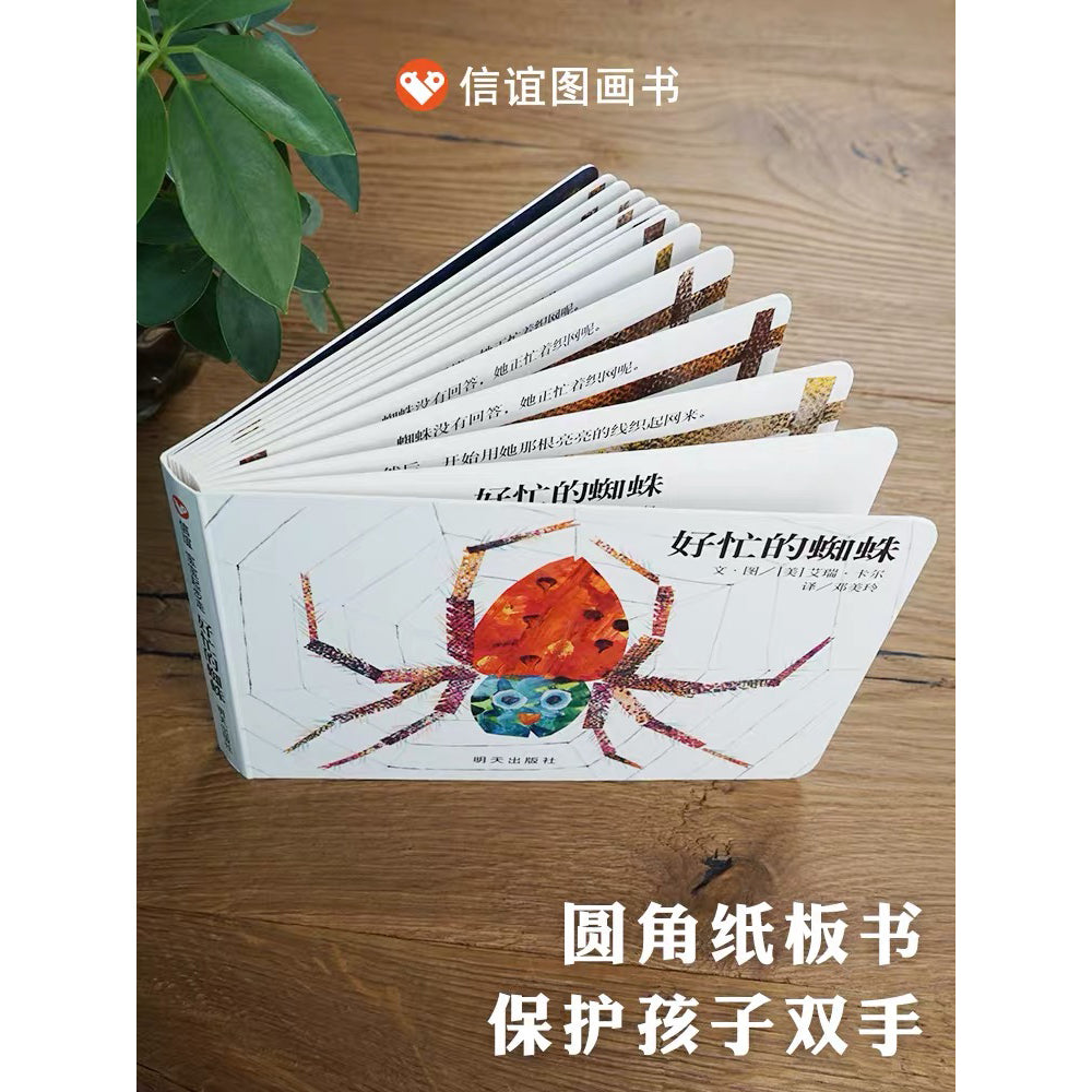 好忙的蜘蛛