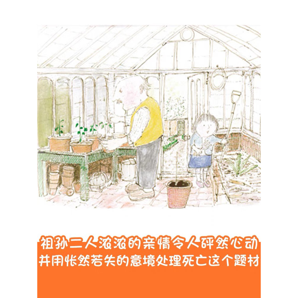 外公