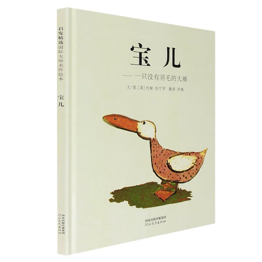 宝儿