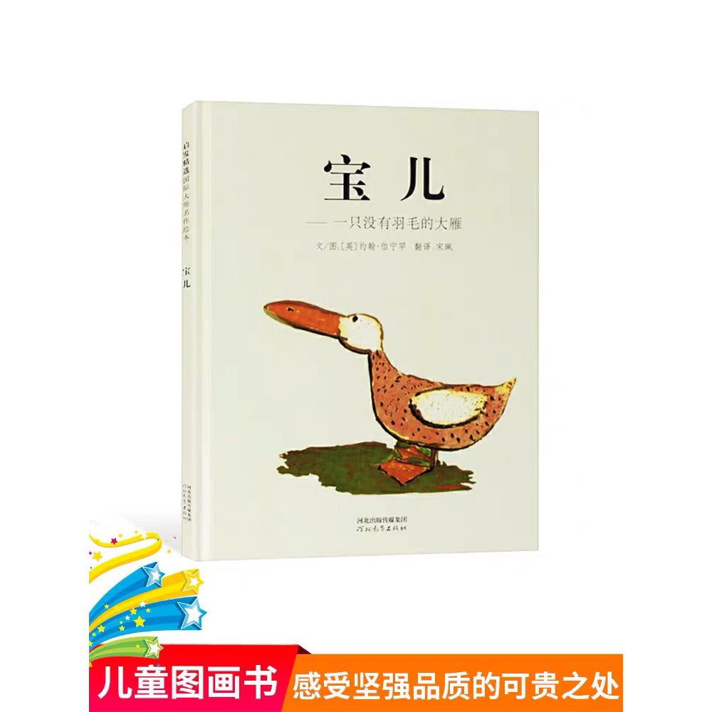 宝儿