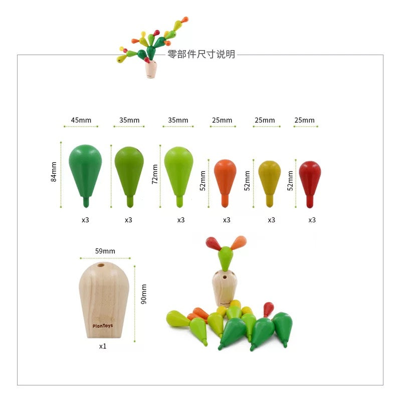 平衡仙人掌 适合3岁+