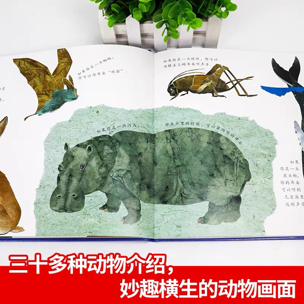 这样的尾巴可以做什么